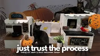 Building A Mini Cat Village | CAT BUY OR DIY Ep.4