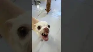 Ники празднует свой 7-й день рождения😍🥳
