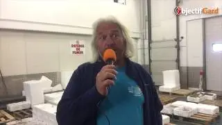 Reportage - Les pêcheurs du Grau-du-Roi
