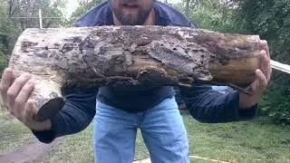 My first product review. The Pittsburg 6lb splitting axe.