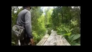 Gaspe salmon fishing 2015