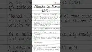 Microbes in human welfare Class 12 Best Notes for exam #shorts
