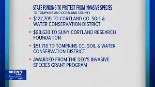 More than $250,000 awarded to projects in Tompkins and Cortland Counties to support local invasi...