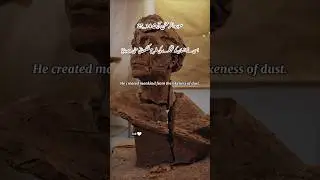 Surah Al Rahman Ayat 14_25#viral #quran