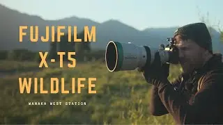 Capturing Wildlife with the Fujifilm X-T5: Does it compare to the X-H2S?