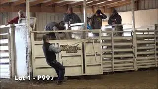 P997