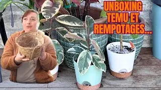 HAUL TEMU 💐 Spécial Jardin | Rempotages avec mes nouveaux pots pour 2024 | LE PETIT JARDIN DE BOB
