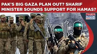 Pakistan's Big Gaza Plan Out? Sharif Minister Sounds Support For Terror Group Hamas? Ishaq Dar Says