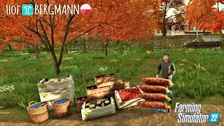 Zbiór warzyw. Ogród jesienią na Hof Bergmann ☆ Farming Simulator22 ☆  #11 ㋡ Anton