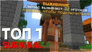 ТОП 1 SURVIVAL сервер в МАЙНКРАФТ 1.9, 1.17.1