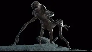 [Zbrush Alien's concept creation] 08 Zremesh and Projection