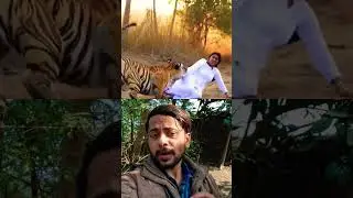 Tiger Attack | Indian Army Rescue 🔥 #ai​ #sora​ #tiger​ #army​ #indianarmy​ #shorts​ #ytshorts​