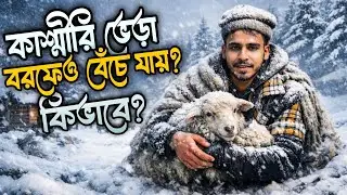 Frozen Kashmir ❄️ | তুষারের মধ্যে কিভাবে টিকে থাকে কাশ্মীরের ভেড়া গুলি? | Legend Maidul Sekh Vlog❄️