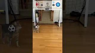 Cat Goalie - Milan Vs Napoli | 2023 UEFA Quarter Final Leg 1 #cat #fyp