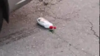 Crushing Crunchy, Soft Things by Car, Experiment Car vs Fairy