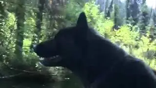 Running the River between the lakes at Grizzly Creek Lodge