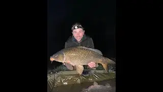 Karpfenangeln am Zielfinger See