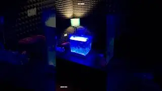 Mist maker is very simple setup |#muralisvlog #aquariumfish #plantedaquarium #aquarium #fishtank