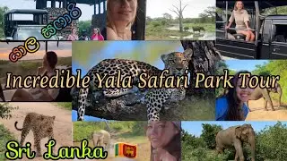 Incredible  Yala යාල  Safari  Park  Tour in Sri Lanka 🇱🇰 / Travel Channel