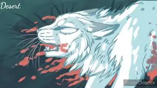 Warrior Cats PMV    [Коты Воители]♡{Schönes Russisches Lied}♡