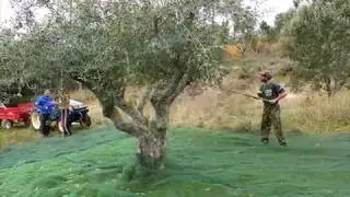 ANDALUCES DE JAEN  -   MANOLO ESCOBAR