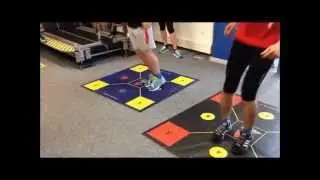Dynamic Movement Skills DMS - h/p/comsos staff Training with Mike Antoniades