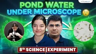 Pond Water Microorganisms Under Microscope | 8th Science Experiment | Pond Water in Microscope