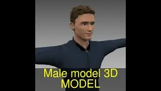 3D Model of Male model Review