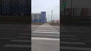 Перешел дорогу