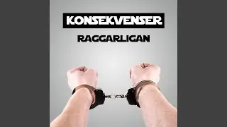 KONSEKVENSER