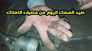 صيد السمك اليوم من مصرف الاملاك متعه fishing