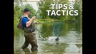 WATCH  how to elasticate a whip/pole Carp and match fishing
