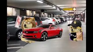 madre con derecho quiso robar mi carro y terminaron atropellados