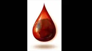 Plead The Blood Of Jesus