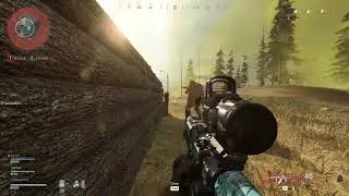 Call of Duty Warzone Chicken Dinner