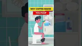 #coffee #poop #why #facts