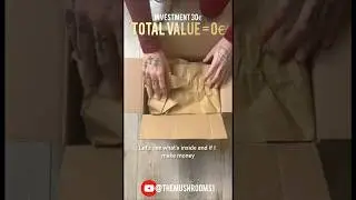 How Much I Made from This Mystery 420 box?