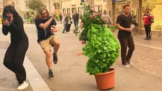 Bushman prank :Best females Reactions 2022!!😂🤣