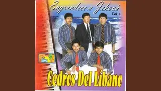 Por Mi Murio