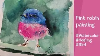 핑크로빈 이렇게 귀여운 새가 있다니! Pink Robin, very cute unique bird! 수채화로 예쁜 새 그리기 , Drawing a bird by watercolor