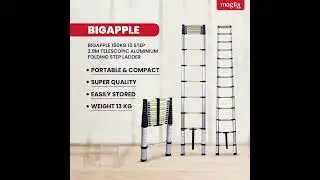 Обзор складной телескопической алюминиевой стремянки Bigapple 150 кг, 10 ступеней, 2,9 м