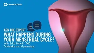 What Happens During Your Menstrual Cycle? | Ask Cleveland Clinic&rsquo;s Expert