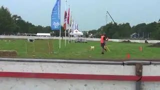 Tw heide 125 cc 2017