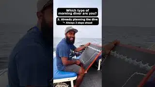 Which type of morning diver are you? 🌊