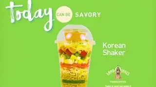 Portable Korean Salad Shaker