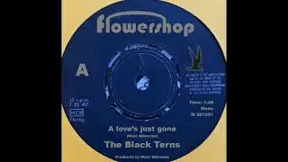 A love's just gone - The Black Terns (like 1966) garage freakbeat