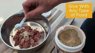 How to Use maxxiSAMe for Dogs
