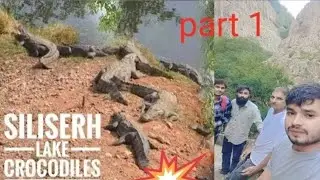जब गौशाले में गाय के बछड़े को खाने की फिराक में पहुंचा विशालकाय जानवर, फिर क्या हुआ! Animal Rescue