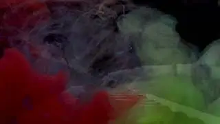 Vivarium  - Fantasy #4; (E♭ Min). Upright piano solo meditation; A=432Hz.