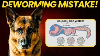 I Thought Deworming Was Optional—Biggest Mistake